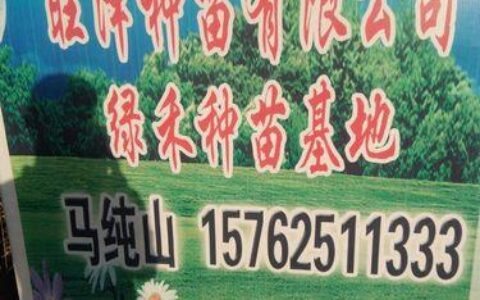 贵阳小额贷款正规公司：急您所急，雪中送炭的可靠伙伴