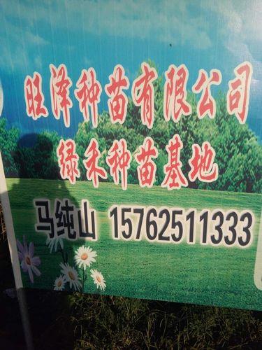 贵阳小额贷款正规公司：急您所急，雪中送炭的可靠伙伴