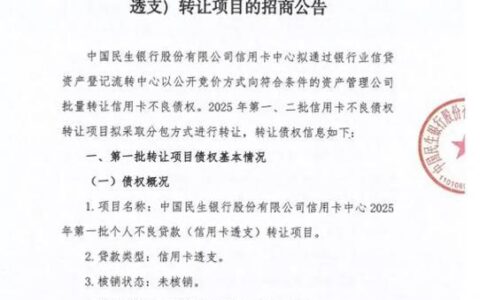 信用卡不良记录还能贷款买房吗？专家与应对策略
