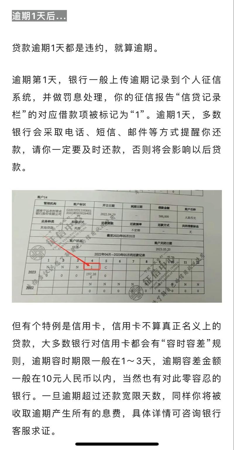 网贷逾期两天，征信受损？别慌，看这里！