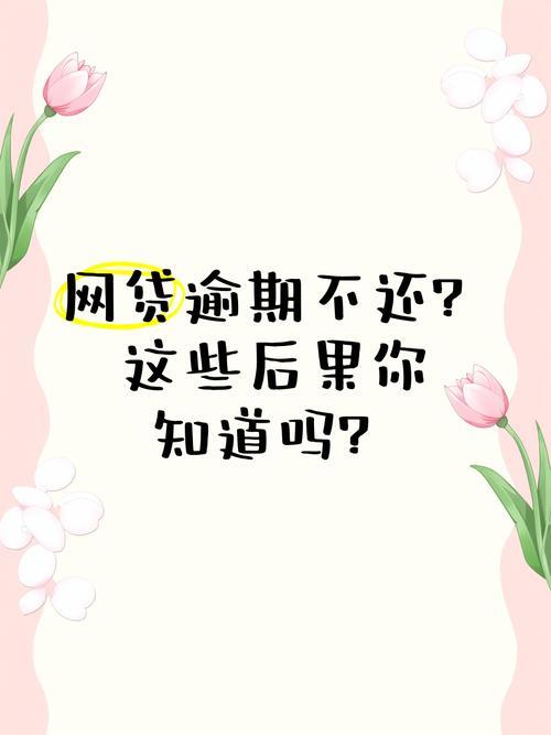 网贷逾期后果严重！警惕这些你可能不知道的风险