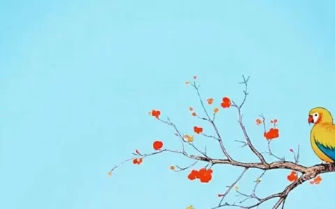 惠花钱包会员费怎么退？