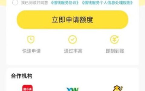 飞猪借钱2025年好通过吗？