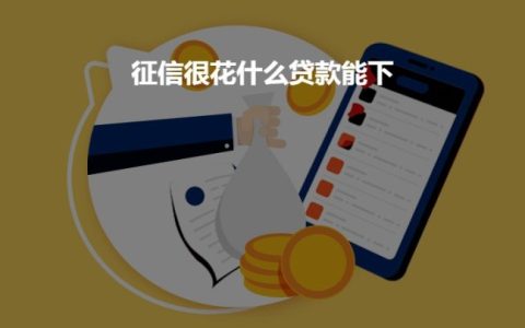 征信花了但没逾期还可以在哪里借款