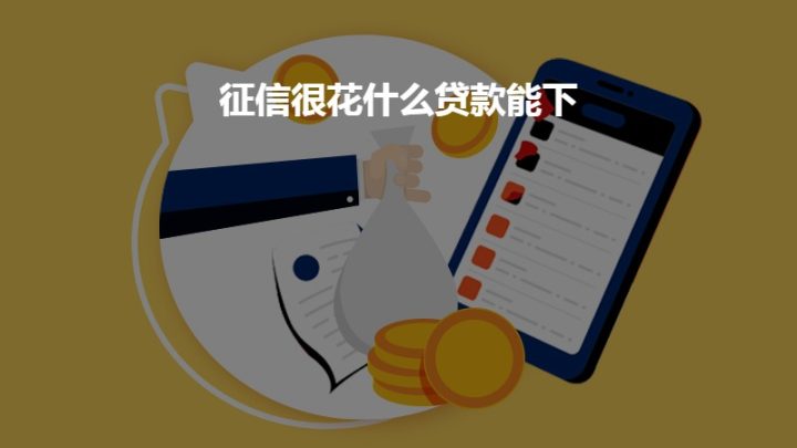征信花了但没逾期还可以在哪里借款-1