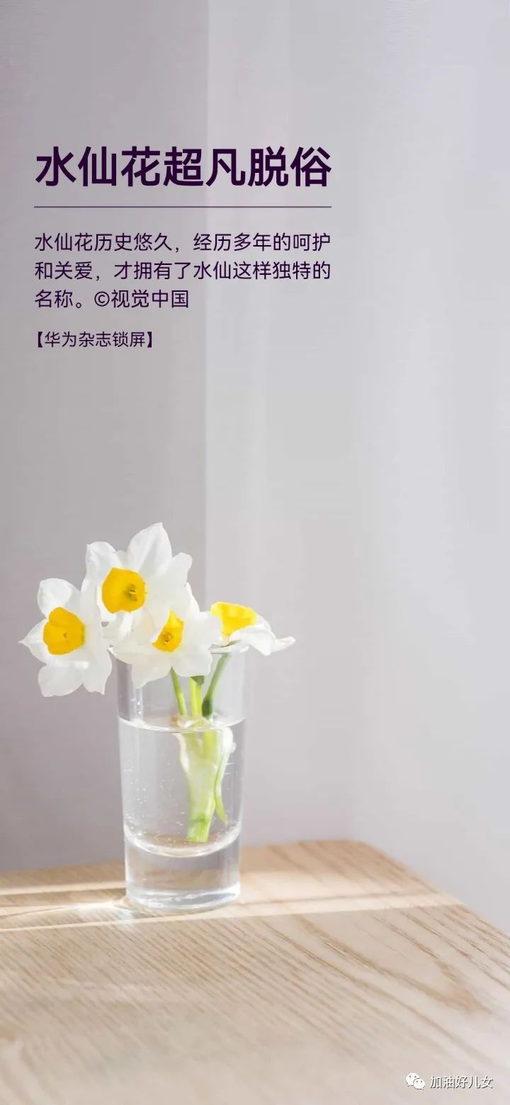 今天520，婚姻登记处又扎堆了