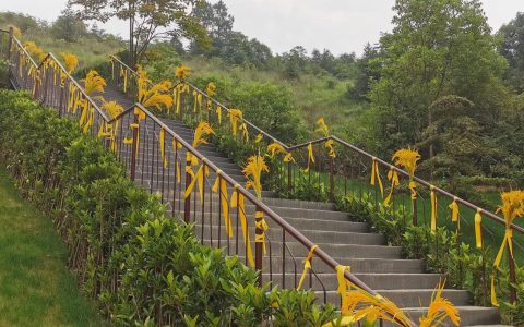 袁隆平院士逝世一周年
