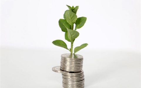 不要芝麻分可以借钱的app，借钱软件最好借到钱的-1